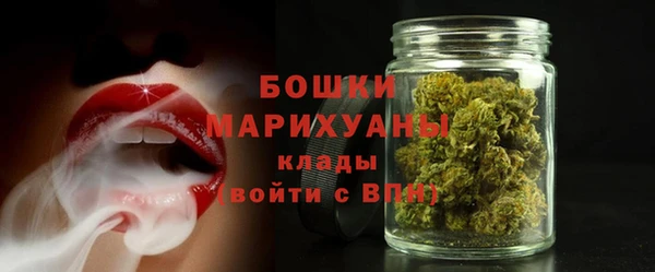 a pvp Ельня