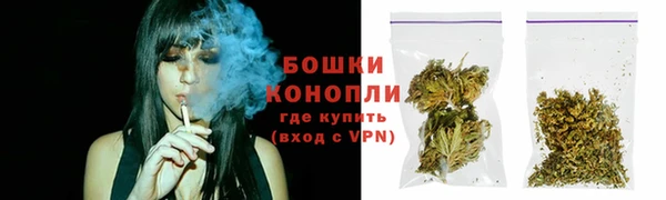 амф Елизово