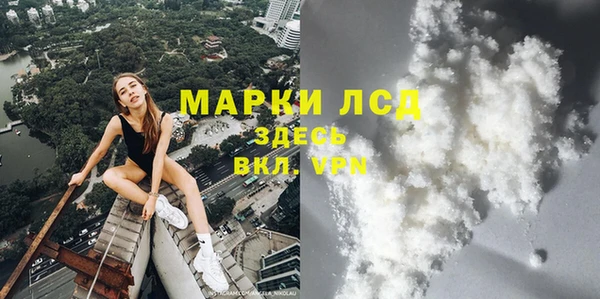 a pvp Ельня
