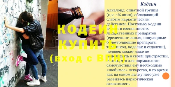 амф Елизово