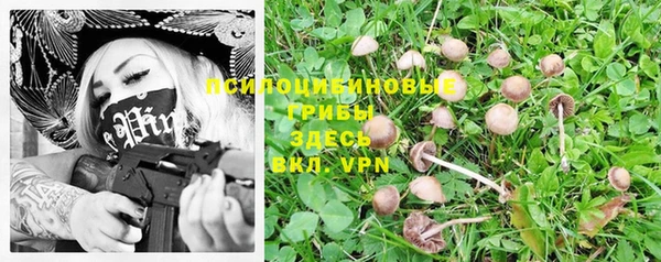 a pvp Ельня