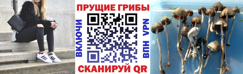 Псилоцибиновые грибы ЛСД Истра